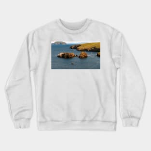 Channel Islands National Park Santa Cruz Island Crewneck Sweatshirt